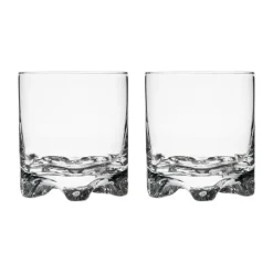 IITTALA Cocktaillasit Ja Drinkkilasit-Grogilasi 28cl 2kpl