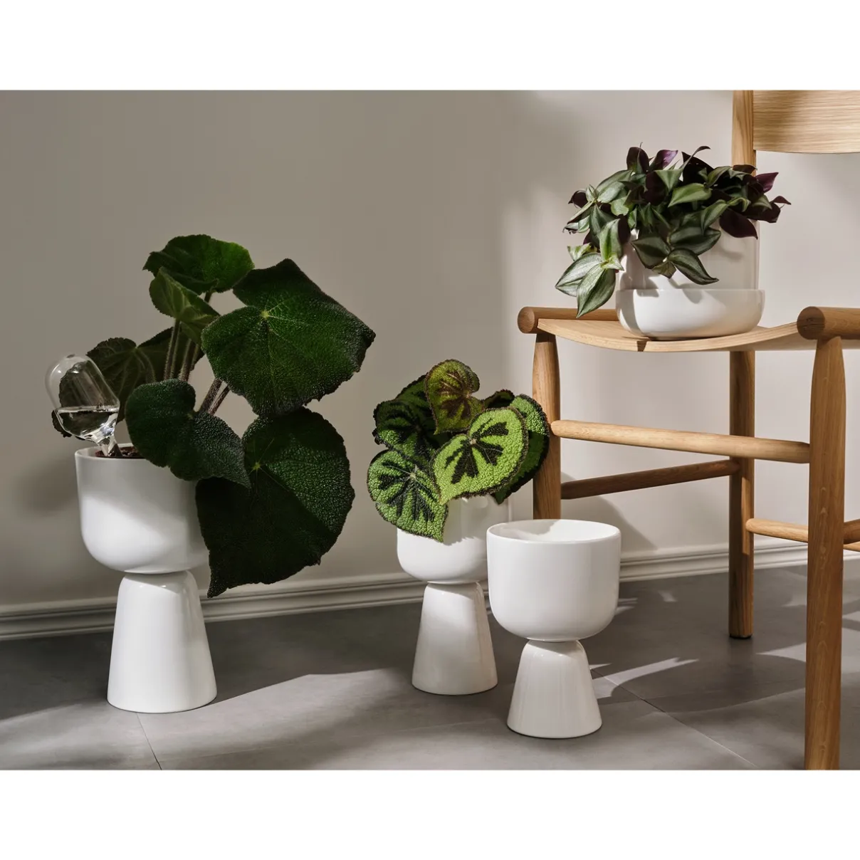 IITTALA Kukkaruukut-kastelupullo 2set
