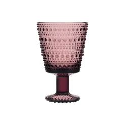 IITTALA Aktiivinen Juomalasit-Jalkalasi 26 cl 2 kpl Kanerva