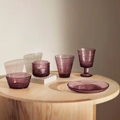 IITTALA Aktiivinen Juomalasit-Jalkalasi 26 cl 2 kpl Kanerva