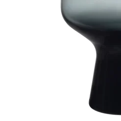 IITTALA Aktiivinen Juomalasit-Jalkalasi 40cl metallin 2 kpl Harmaa