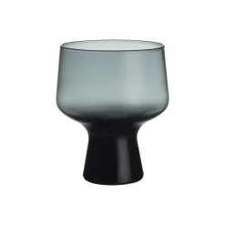 IITTALA Aktiivinen Juomalasit-Jalkalasi 29cl metallin 2 kpl Harmaa