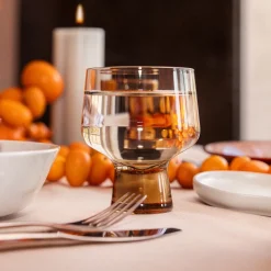 IITTALA Aktiivinen Juomalasit-Jalkalasi 29cl 2kpl Pellava