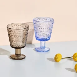 IITTALA Aktiivinen Juomalasit|Viinilasit-Jalkalasi 26cl 2kpl Vedensininen