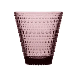 IITTALA Aktiivinen Juomalasit-Juomalasi 30 cl 2 kpl Kanerva
