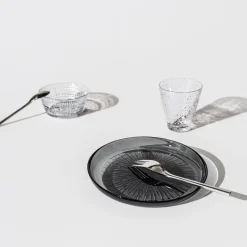 IITTALA Aktiivinen Juomalasit-Juomalasi 30 cl 2 kpl Kanerva