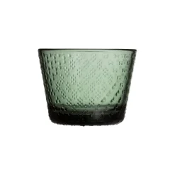 IITTALA Aktiivinen Juomalasit-Juomalasi 16cl havunvihreä 2kpl Havunvihreä