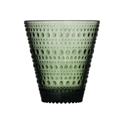 IITTALA Aktiivinen Juomalasit-Juomalasi 30cl havunvihreä 2kpl Havunvihreä