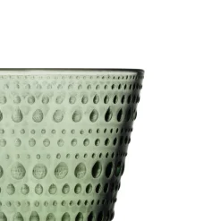 IITTALA Aktiivinen Juomalasit-Juomalasi 30cl havunvihreä 2kpl Havunvihreä