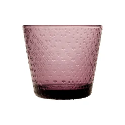 IITTALA Aktiivinen Juomalasit-Juomalasi 29cl 2kpl Kanerva