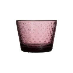 IITTALA Aktiivinen Juomalasit-Juomalasi 16cl 2kpl Kanerva