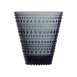 IITTALA Aktiivinen Juomalasit-Juomalasi 30cl 2 kpl Tummanharmaa