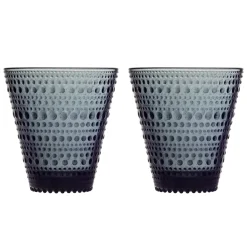 IITTALA Aktiivinen Juomalasit-Juomalasi 30cl 2 kpl Tummanharmaa