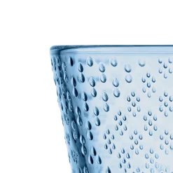 IITTALA Aktiivinen Juomalasit-Juomalasi 16cl 2kpl Vedensininen