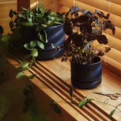 IITTALA Kukkaruukut-Kukkaruukku SN 11cm matta sininen