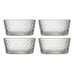 IITTALA Kulhot-Kulho 25cl kirkas 4kpl