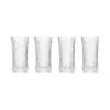 IITTALA Viinilasit-Kuohuviinilasi 4kpl
