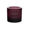 IITTALA Kynttilälyhdyt-Kynttilälyhty 60mm kanerva