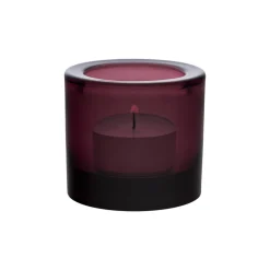 IITTALA Kynttilälyhdyt-Kynttilälyhty 60mm kanerva