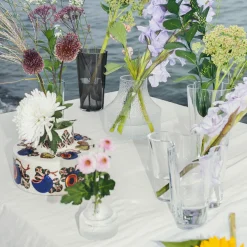 IITTALA Maljakot-Lasimaljakko 82x97mm Kirkas