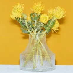 IITTALA Maljakot-Lasimaljakko 180x192mm Kirkas