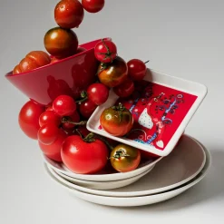 IITTALA Lautaset-Lautanen suorakaide 12x24cm punainen Musta