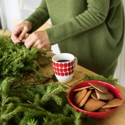 IITTALA Mukit Ja Kupit-Muki 0,34l punainen