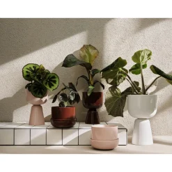 IITTALA Kukkaruukut-Ruukku jalallinen S korkea Beige