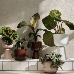 IITTALA Kukkaruukut-Ruukku ja vati S Beige