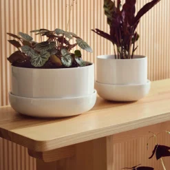 IITTALA Kukkaruukut-Ruukku ja vati M Valkoinen