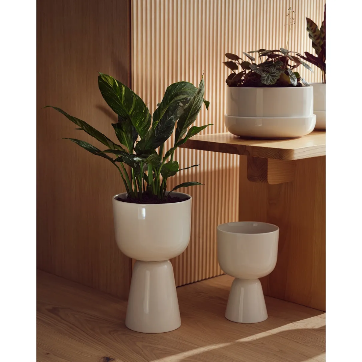 IITTALA Kukkaruukut-Ruukku ja vati M Valkoinen