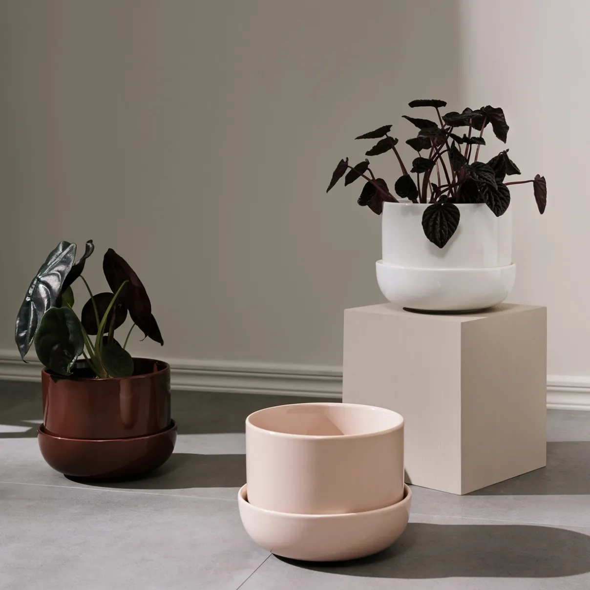 IITTALA Kukkaruukut-Ruukku ja vati S Valkoinen
