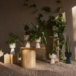 IITTALA Kukkaruukut-Ruukku jalallinen S korkea Valkoinen
