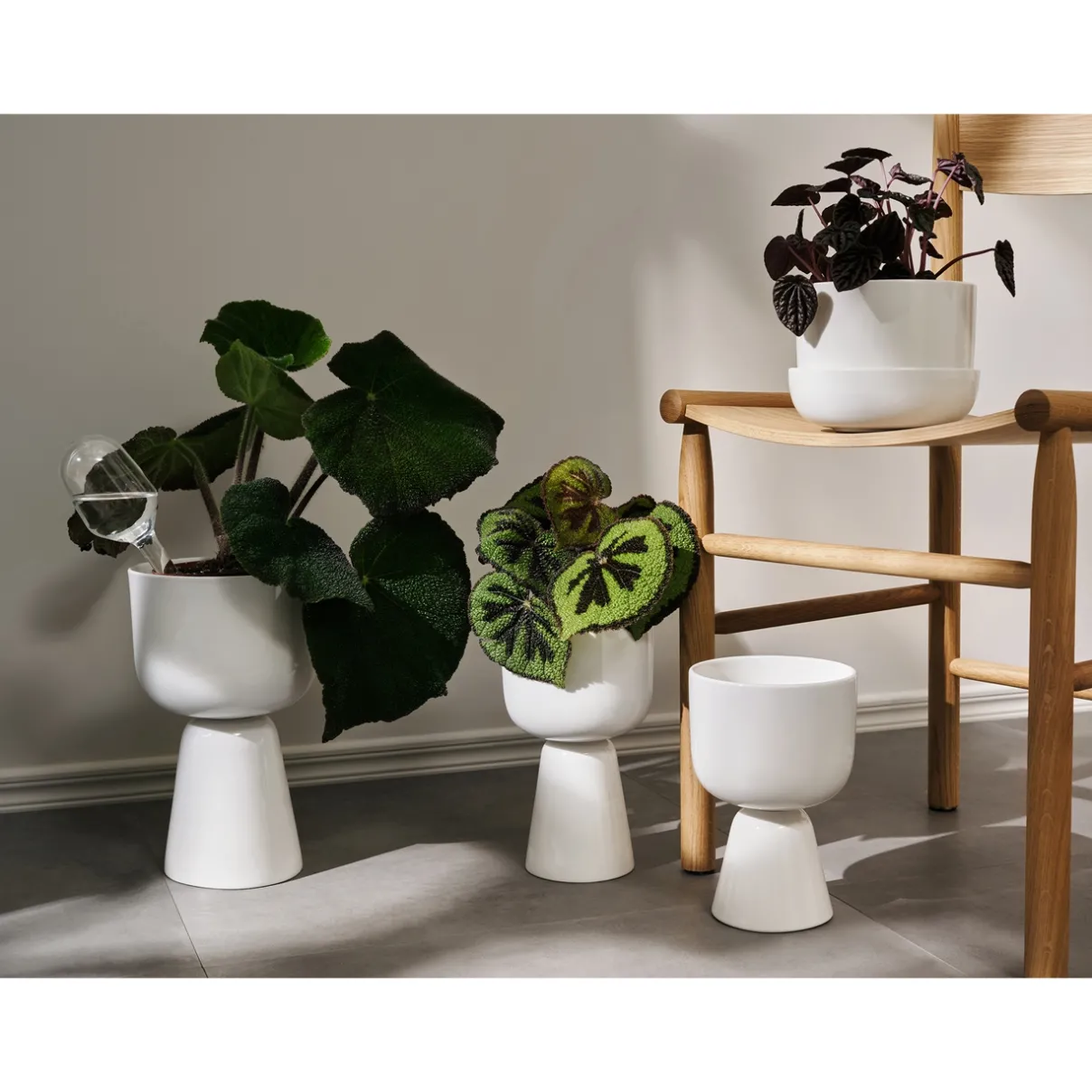 IITTALA Kukkaruukut-Ruukku jalallinen S korkea Valkoinen