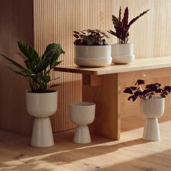 IITTALA Kukkaruukut-Ruukku jalallinen S korkea Valkoinen