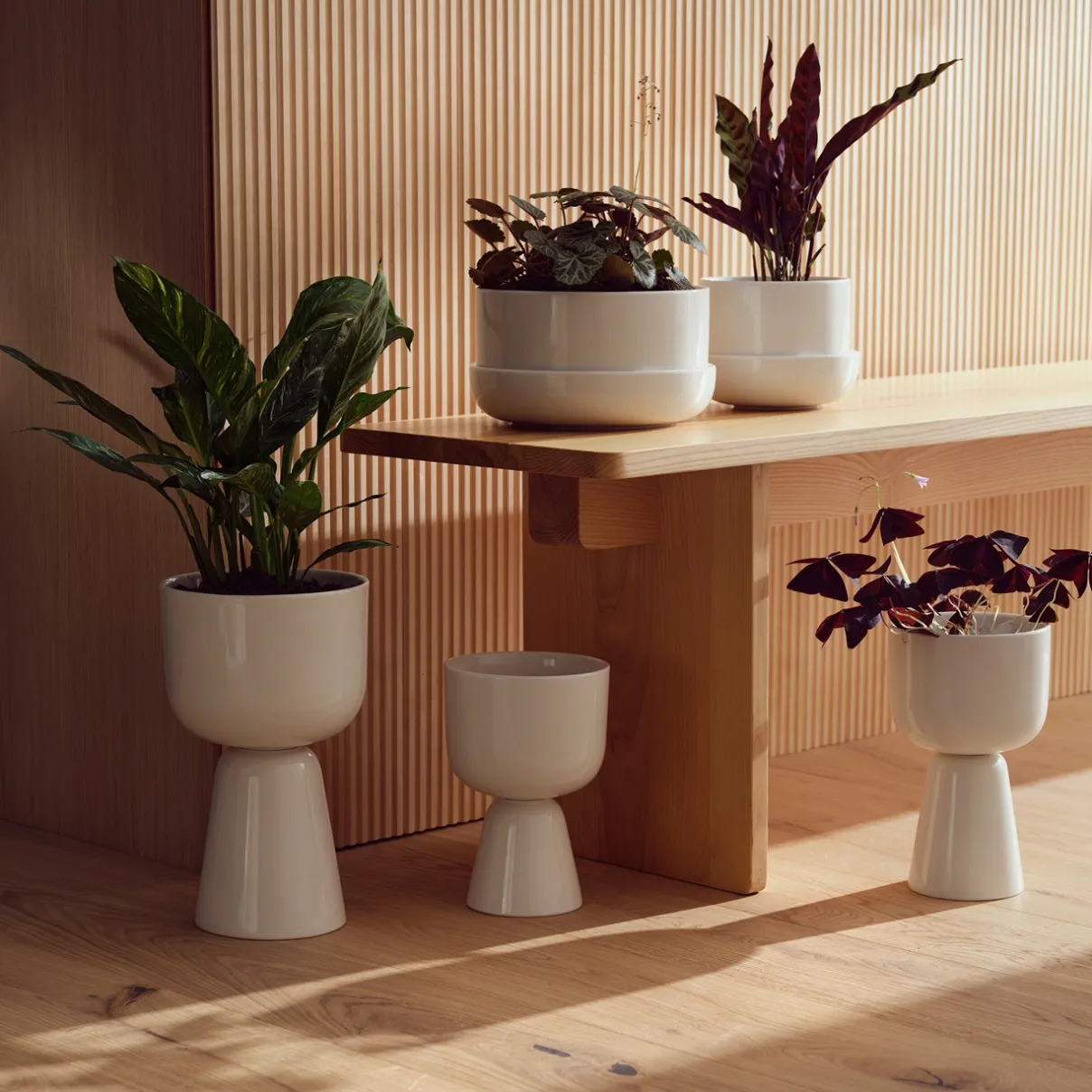 IITTALA Kukkaruukut-Ruukku jalallinen S korkea Valkoinen