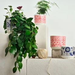 IITTALA Kukkaruukut-Ruukku 100x120mm